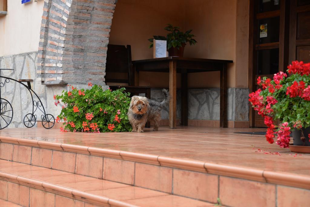 Agroturismo Ordaola Alonsotegi Luaran gambar