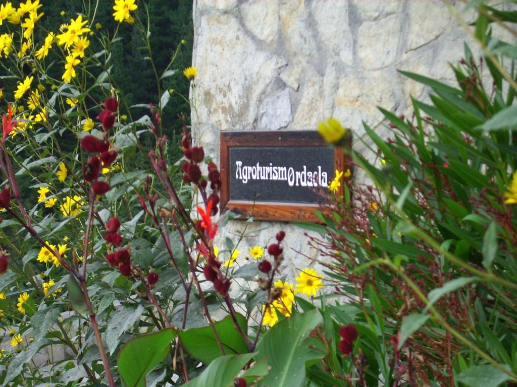 Agroturismo Ordaola Alonsotegi Luaran gambar